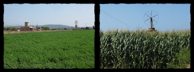F006.jpg